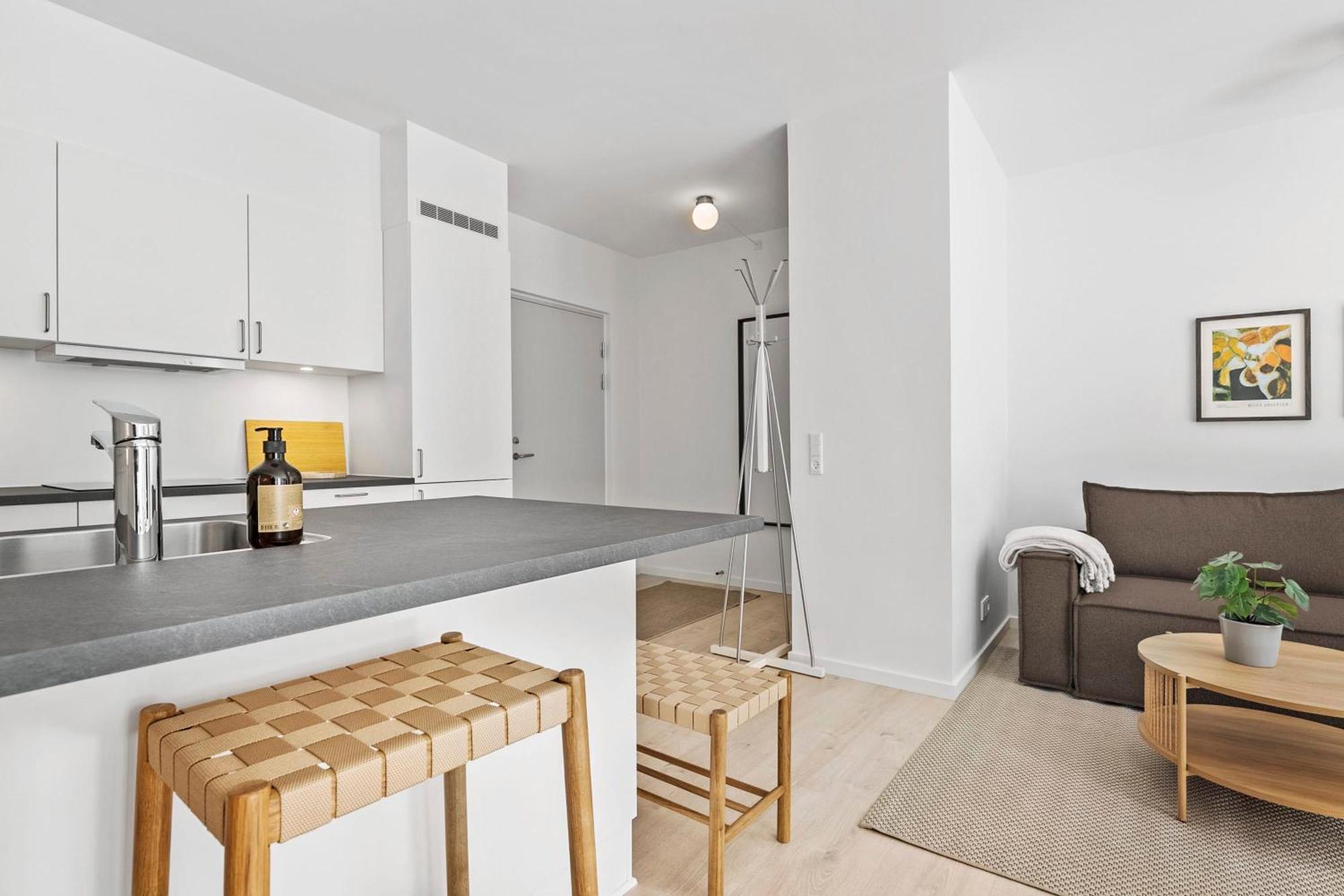 Inner City Grand Suite Århus Екстериор снимка